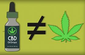 Image result for CBD