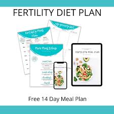 free 14 day fertility t meal plan