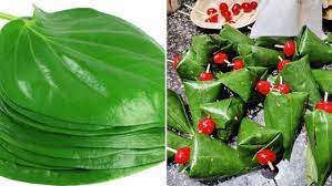 wonderful benefits of betel leaf as per