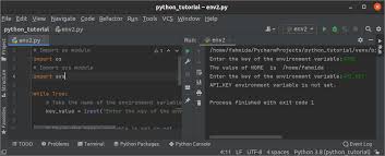 set environment variables in python