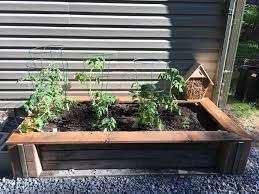 Cinder Block Raised Bed