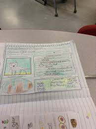 The Elisabeth Morrow School Blog   st Grade Animal Research Projects Pinterest Begin by restating each question or using TTQA  turn the question around    e g  my animal likes to eat     Our third grade students write their first  draft on    