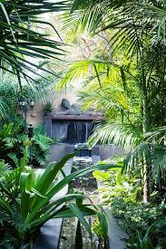 a tropical garden in the heart of
