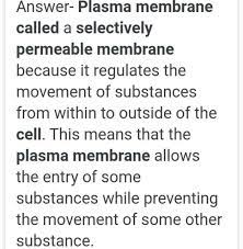 Doubts: Why is plasma membrane called a selectively permeable membrane?