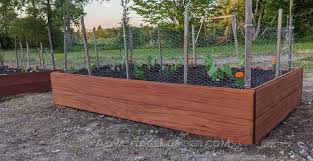 Best Wood For Raised Garden Beds