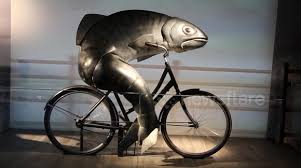 Use the pinned q&a + friend code megathreads. Newsflare Mechanical Fish Spotted Riding A Bicycle In Irish Brewery
