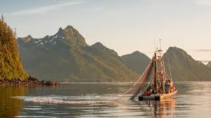 Boats participating in the bristol bay commercial salmon fishery. Where To Go Fishing In Alaska Sustainably