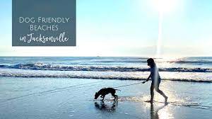dog friendly beaches in jacksonville