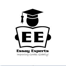 Essay Experts Inc