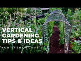 Vertical Gardening Tips Ideas Why