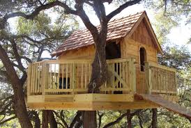 19 Treehouse Designs That Will Make You
