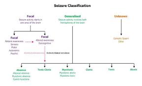 Eaa Seizure Classification Chart Epilepsy Seizure Types