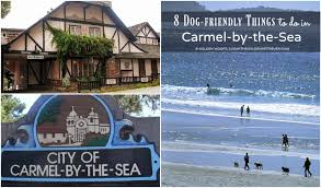 dog friendly things to do in carmel by