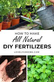 how to make diy plant fertilizer for