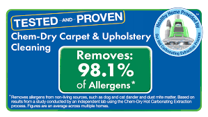 carpet cleaning slinger wi 262 457