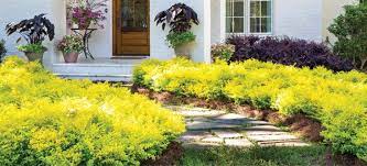 5 Dynamic Border Plantings Southern