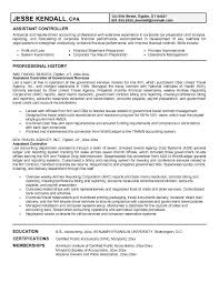 Controller Resume Sample Best Professional Resumes Letters