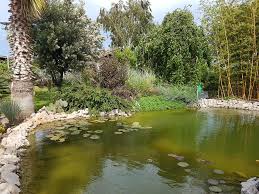 По посещаемости сайт palmi.bg занимает 456 317 место в мире, 2 219 место в болгарии, 817 место в категории дом и сад / садоводство. Palm Center Of Bulgaria Botanical Garden Plovdiv Facebook