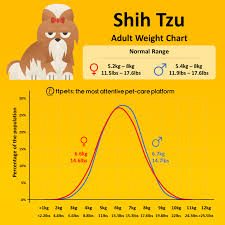 shih tzu weight chart 11pets