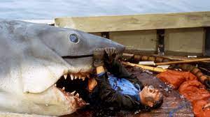 Les Dents de la mer : La véritable histoire derrière le film de Steven  Spielberg | Vanity Fair