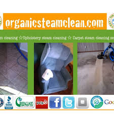 organic carpet cleaner in carlsbad ca