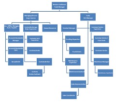 Using The Organizational Chart Tool Described Custom