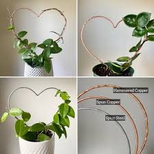 Heart Plant Trellis House Plant Support