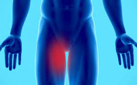 inner thigh pain due to adductor sprain