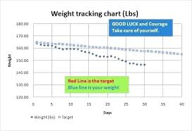 Weight Loss Excel Spreadsheet Gotrekking Club