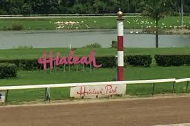 Image result for hialeah park horse