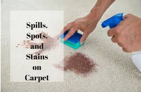 spills spots and stains on carpet