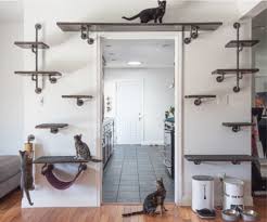 Diy Climbing Wall Just For Cats Catster