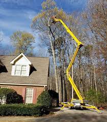 Tree services, pest control, lawn services. Ez Out Tree Service Reliable And Affordable Tree Services In Lawrenceville Ga And Surrounding Areas