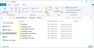 archivos multia de whatsapp