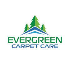 19 best reno carpet cleaners