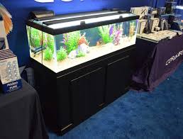 aquarium model the 60 gallon breeder