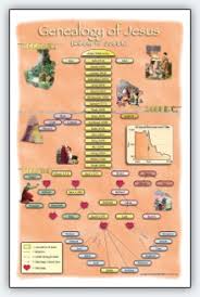 My Bible First Products Poster Genealogy Of Jesus