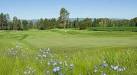 Big Mountain Golf Club - Reviews & Course Info | GolfNow