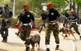 Image result for nigerian army