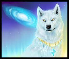white wolf colorful wolf white
