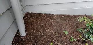 Termites And Wood Chip Mulch