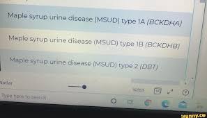maple syrup urine disease msud type