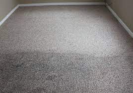 stillorgan carpet cleaning the carpet