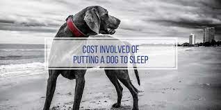 cost to put a dog to sleep