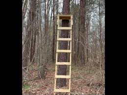 diy ladder tree stands