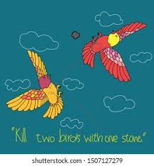 Kill Two Birds with One Stone Images, Stock Photos & Vectors | Shutterstock