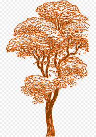 913 transparent png illustrations and cipart matching cherry tree. Cherry Blossom Tree Drawing