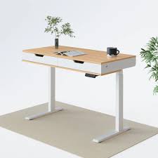 Height Adjustable Desks Flexispot