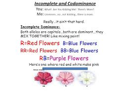 Order wholesale & discount red flowers by the bunch. R Red Flowers B Blue Flowers Rb Purple Flowers Ppt Video Online Download