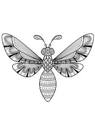 Enter now and choose from the following categories Insect Coloring Pages For Adults Free Download And Print